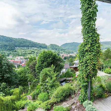 Apartman Modern In Mehlis With Private Lawn