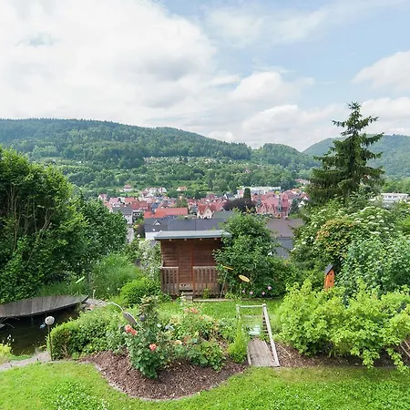 Modern In Mehlis With Private Lawn Apartman